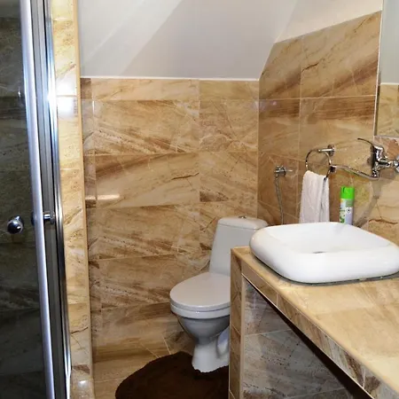 招待所 Alfa Tatry *